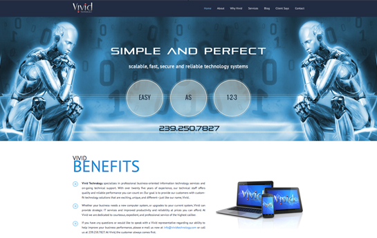 Vivid Technology